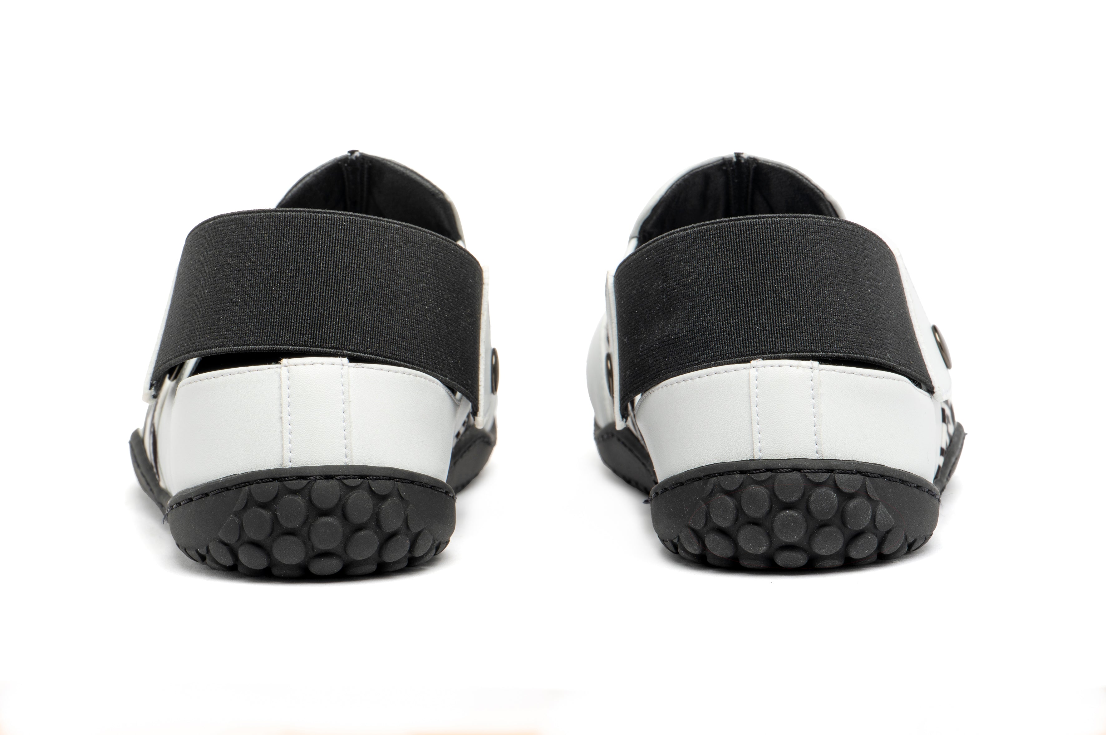 Elastic Zebra Edición Limitada